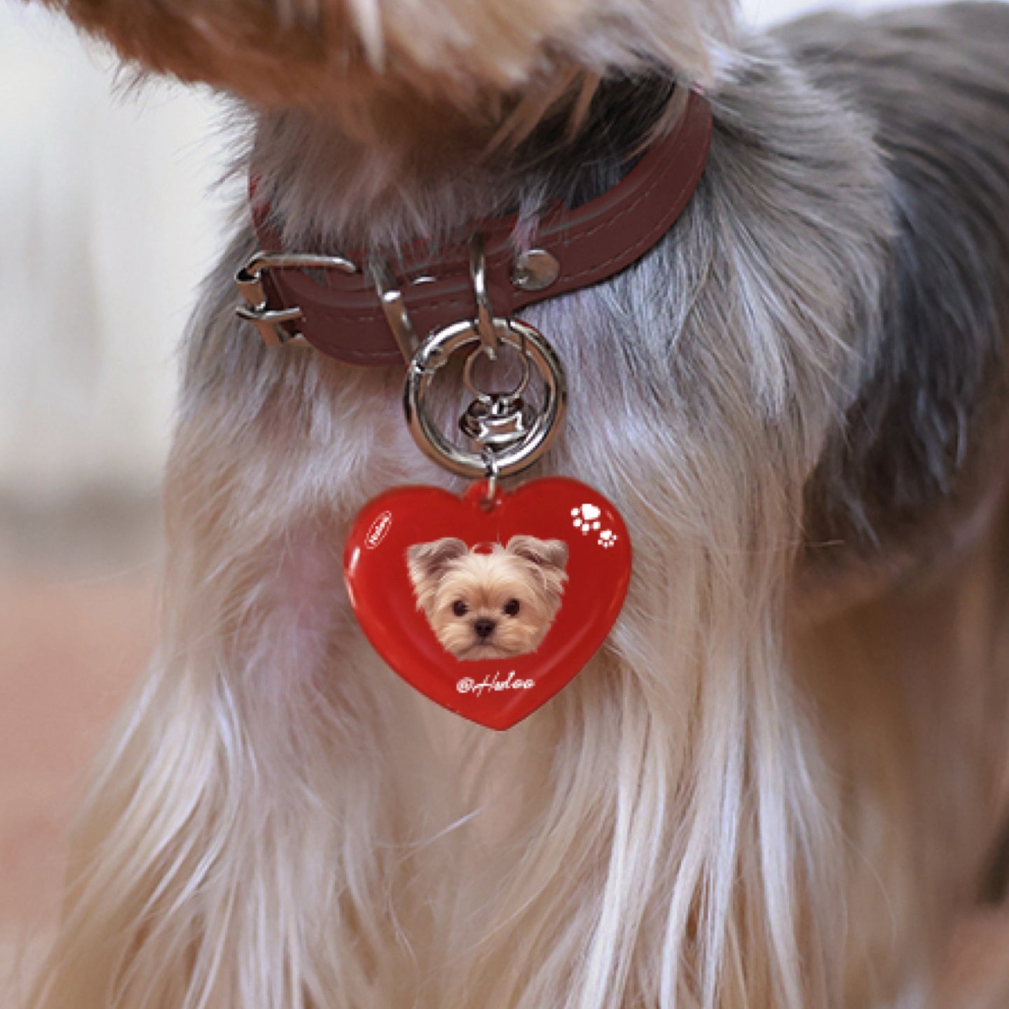 The ID Tag:Custom Dog & Cat Heart Charm