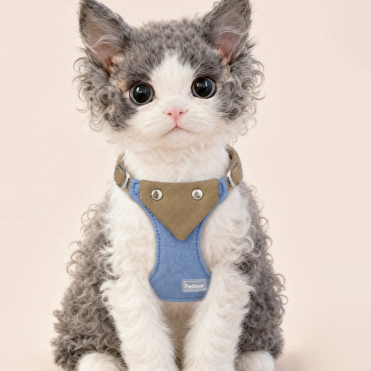 The Little Vest – Escape-Proof Cat&Dog Harness & Leash.