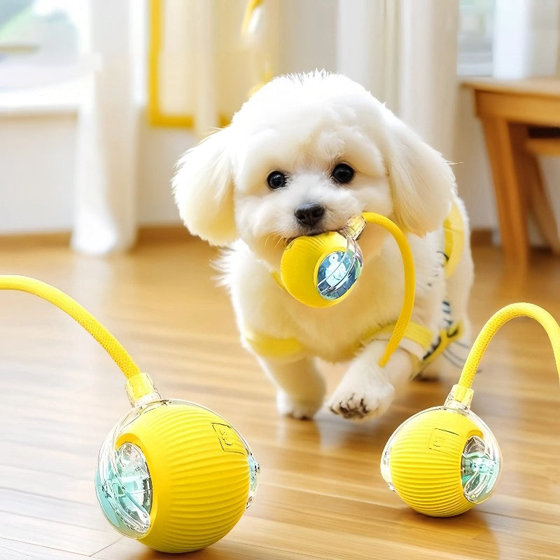 The Auto Fetch – Smart Electric Jump Ball With Rope For Dogs.