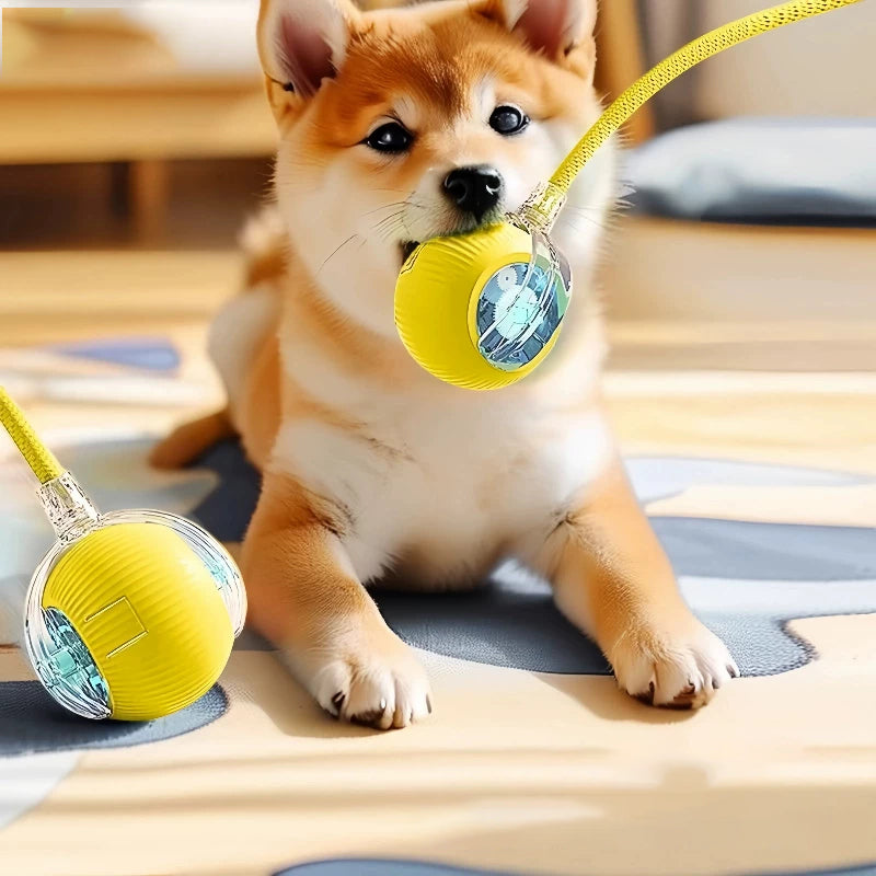 The Auto Fetch – Smart Electric Jump Ball With Rope For Dogs.