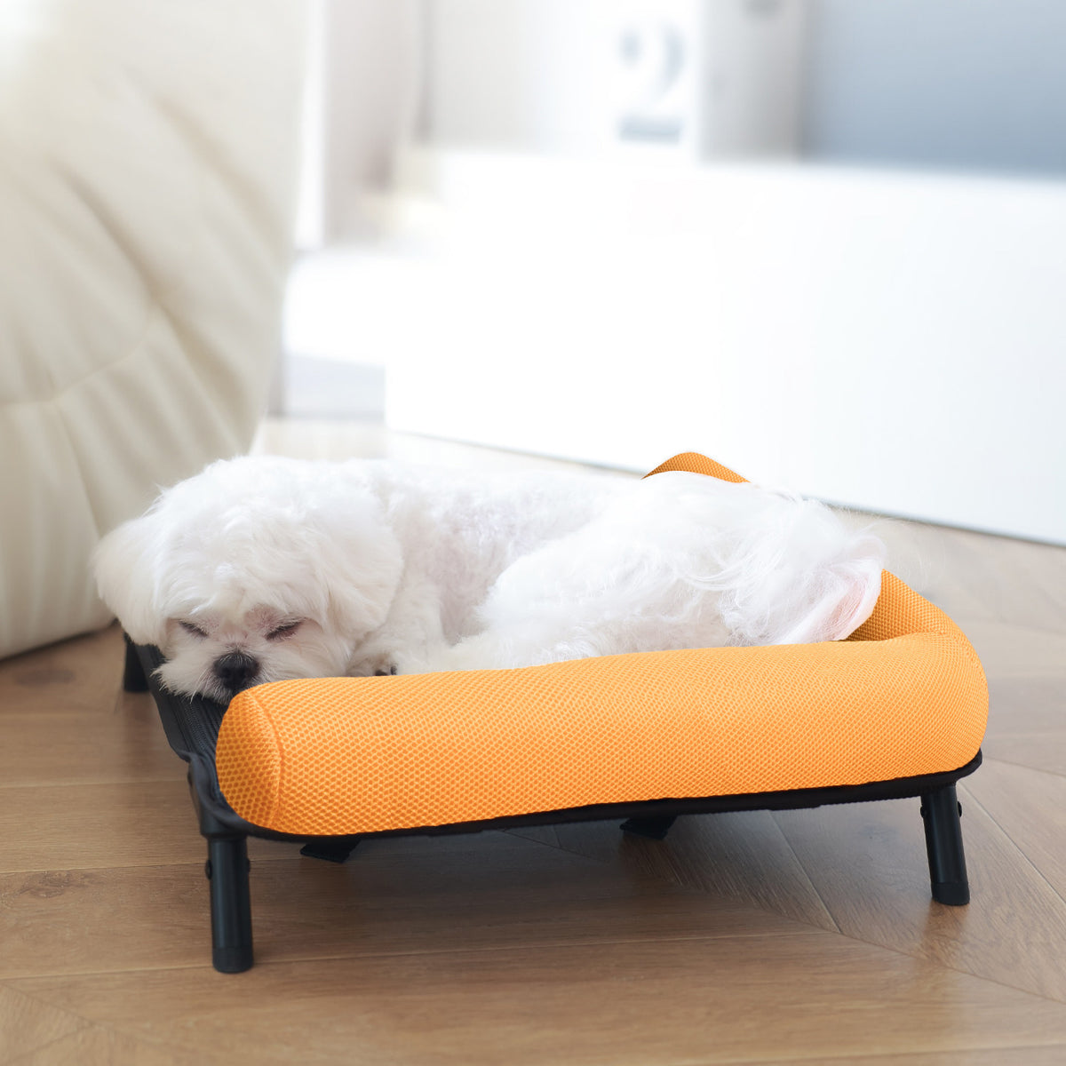The Foldable Pet Tent Bed-Detachable Moisture-Resistant Dog House