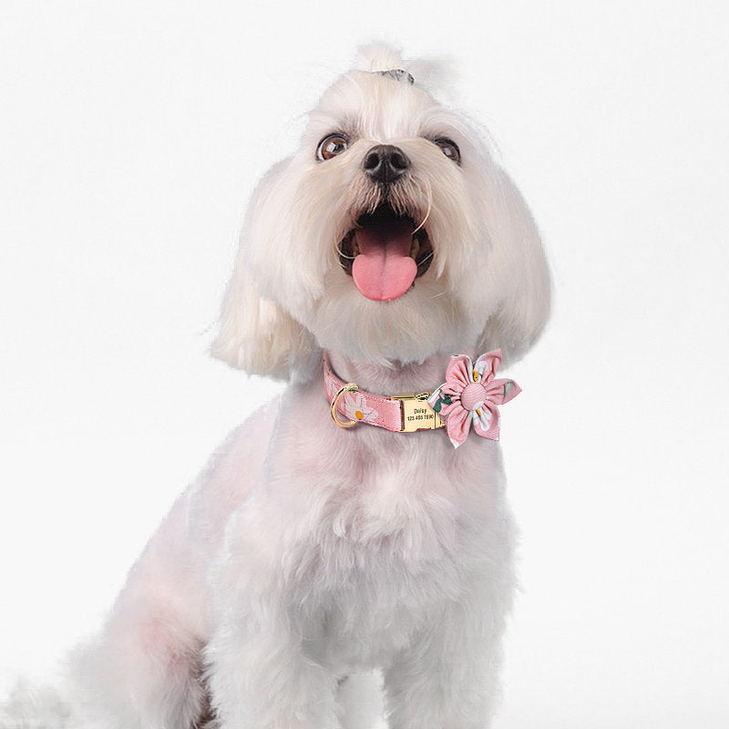 The Pet Collar & Leash Set-Custom Engraved Daisy for Small Dogs