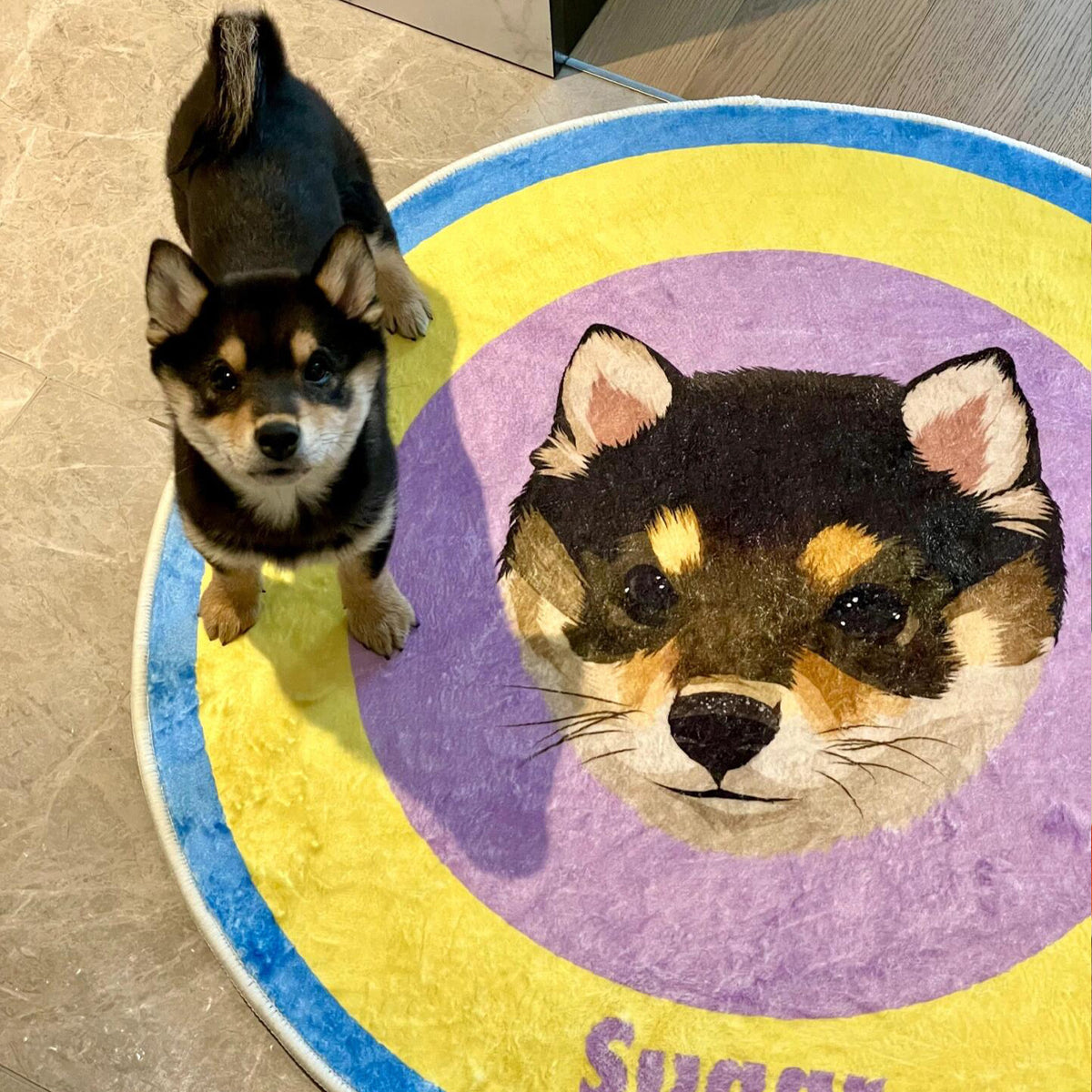 The Personalized Pet Rug Bed:Washable Custom Cozy Floor Mat