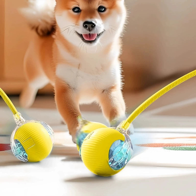 The Auto Fetch – Smart Electric Jump Ball With Rope For Dogs.