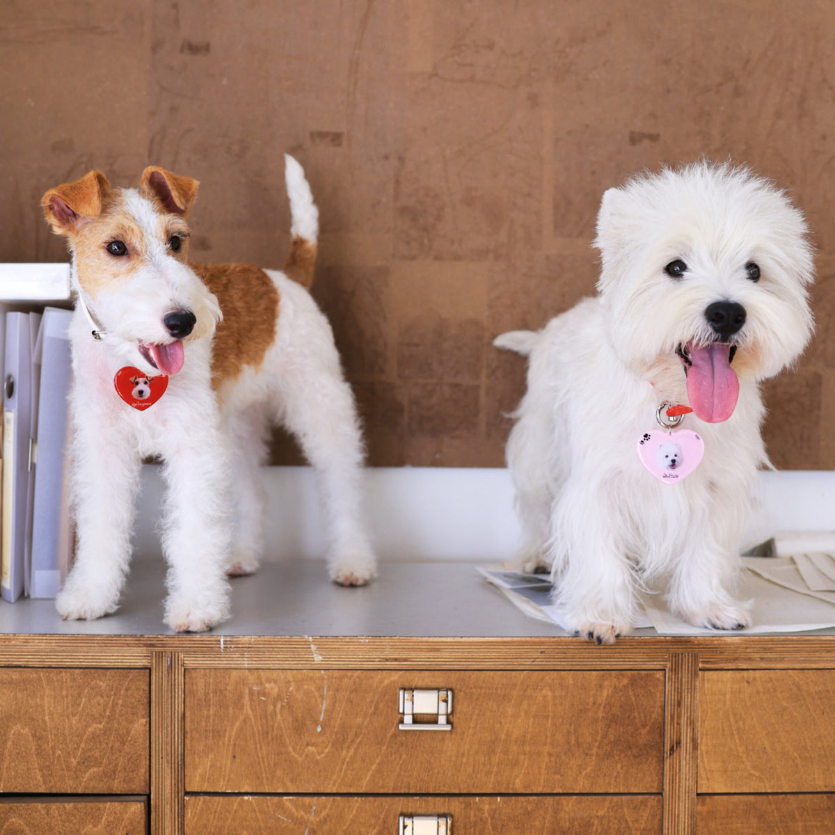 The ID Tag:Custom Dog & Cat Heart Charm