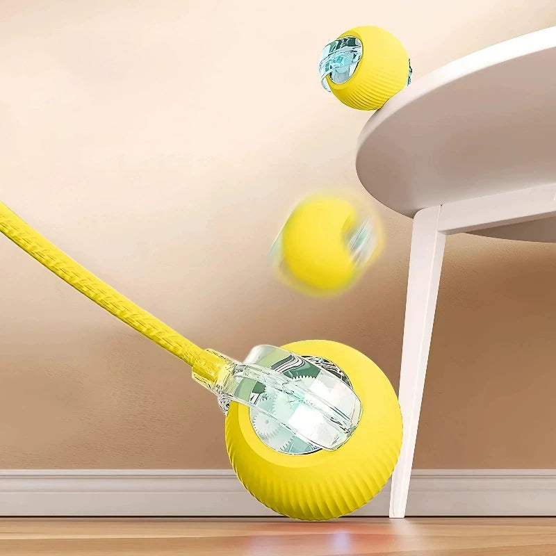 The Auto Fetch – Smart Electric Jump Ball With Rope For Dogs.