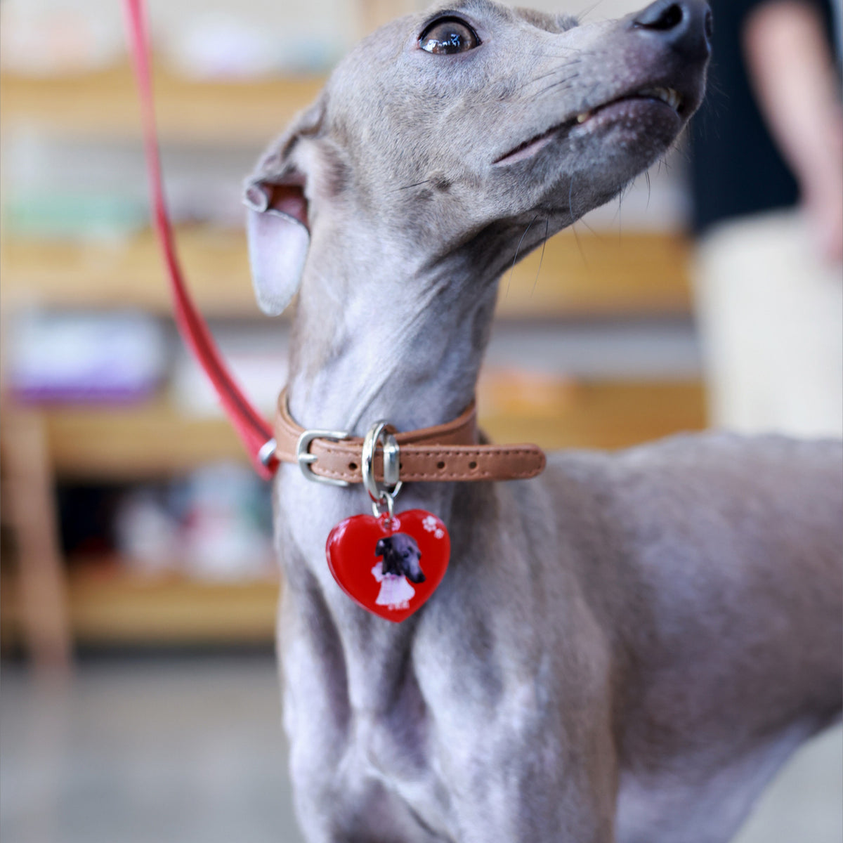 The ID Tag:Custom Dog & Cat Heart Charm
