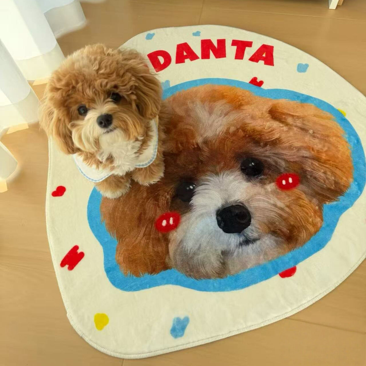 The Shaped Portrait – Cartoon Pet Rug In Your Pet's Shape.