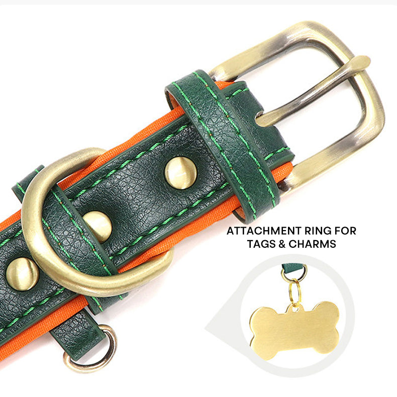 The Classic Neck – Personalized Leather Dog Collar