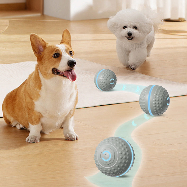 The Smart Bounce – Electric Gravity Jump Ball For Dogs & Cats.