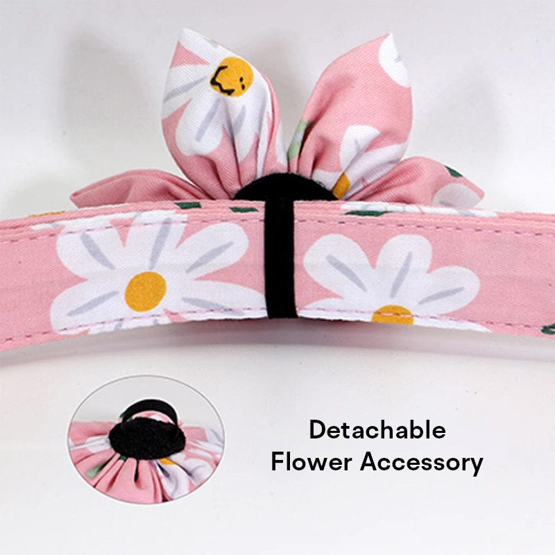 The Pet Collar & Leash Set-Custom Engraved Daisy for Small Dogs