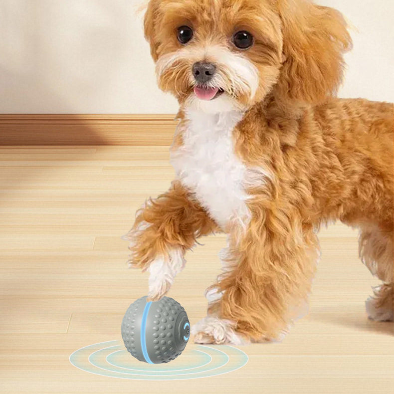 The Smart Bounce – Electric Gravity Jump Ball For Dogs & Cats.