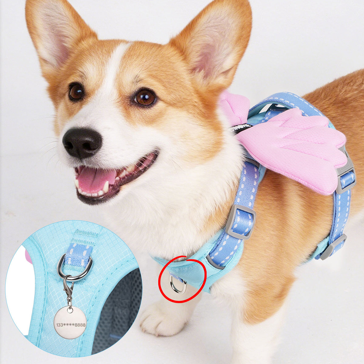 The Angel Wings – Winged Dog Harness & Leash For All Sizes.