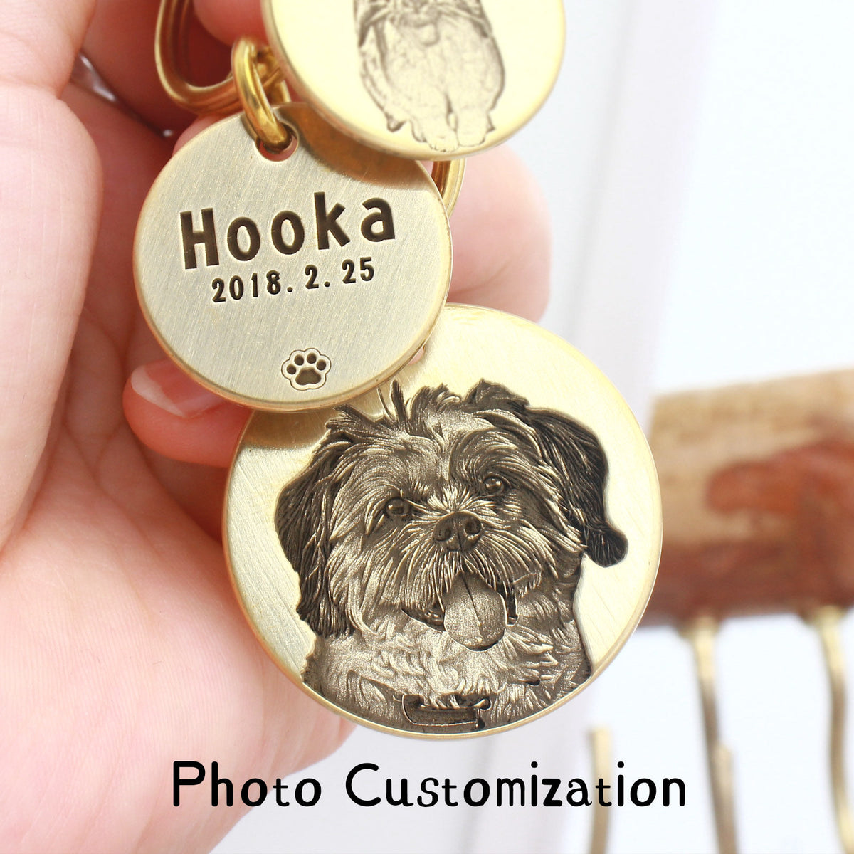 The Loyal Companion – Brass Pet Tag