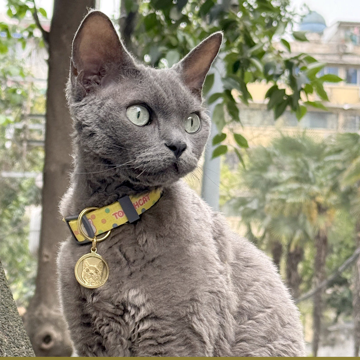 The Loyal Companion – Brass Pet Tag