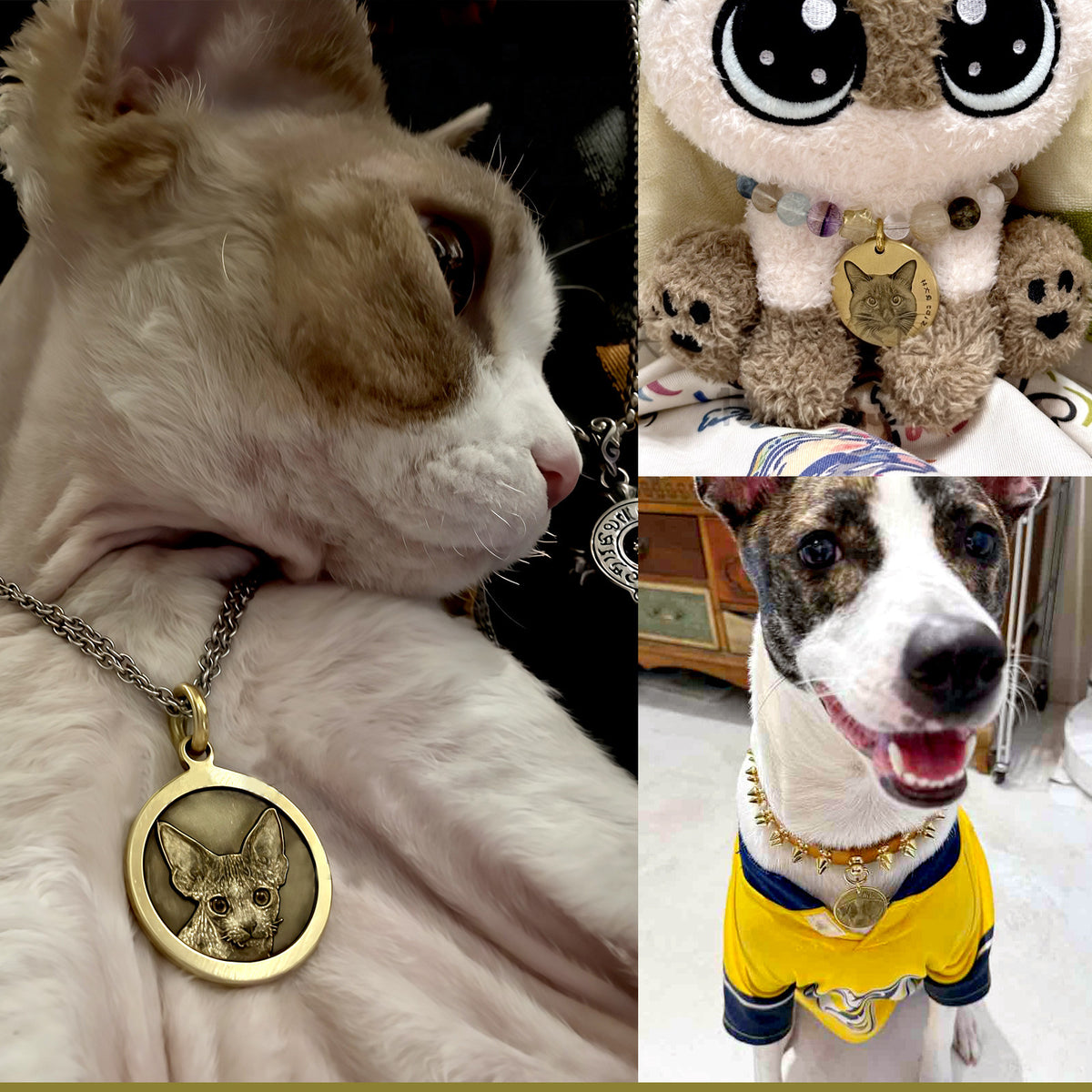 The Loyal Companion – Brass Pet Tag