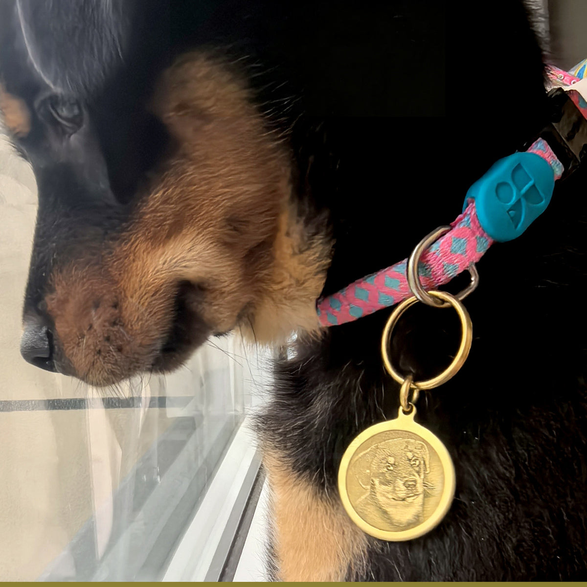 The Loyal Companion – Brass Pet Tag