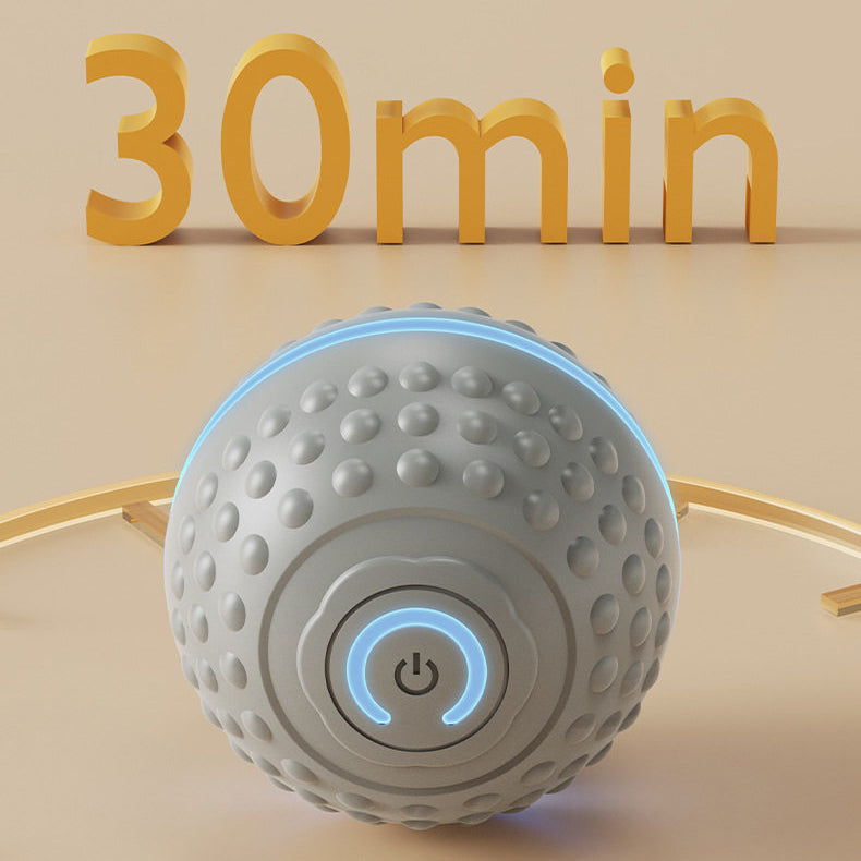 The Smart Bounce – Electric Gravity Jump Ball For Dogs & Cats.