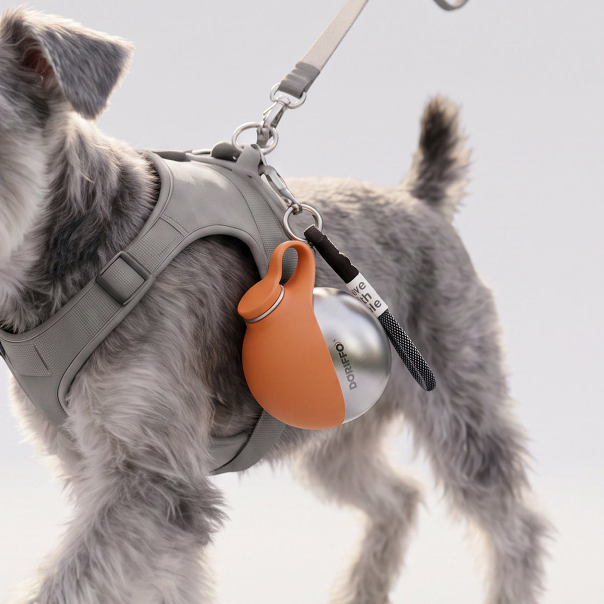 The Steel Fold – Collapsible Stainless Steel Pet Water Bottle.