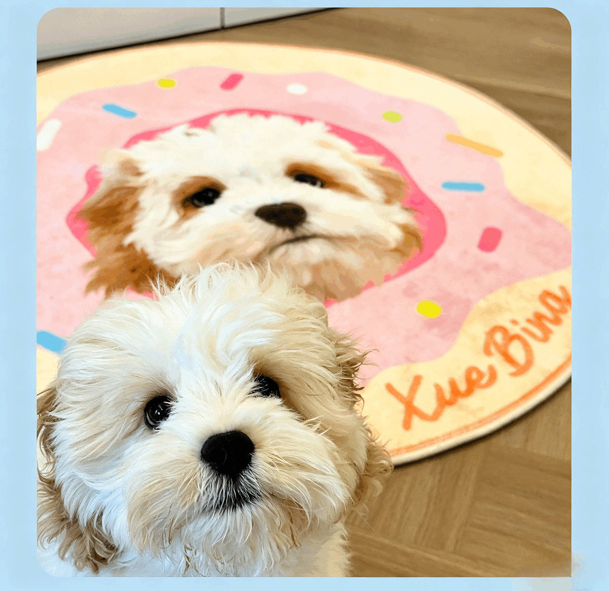 The Personalized Pet Rug Bed:Washable Custom Cozy Floor Mat