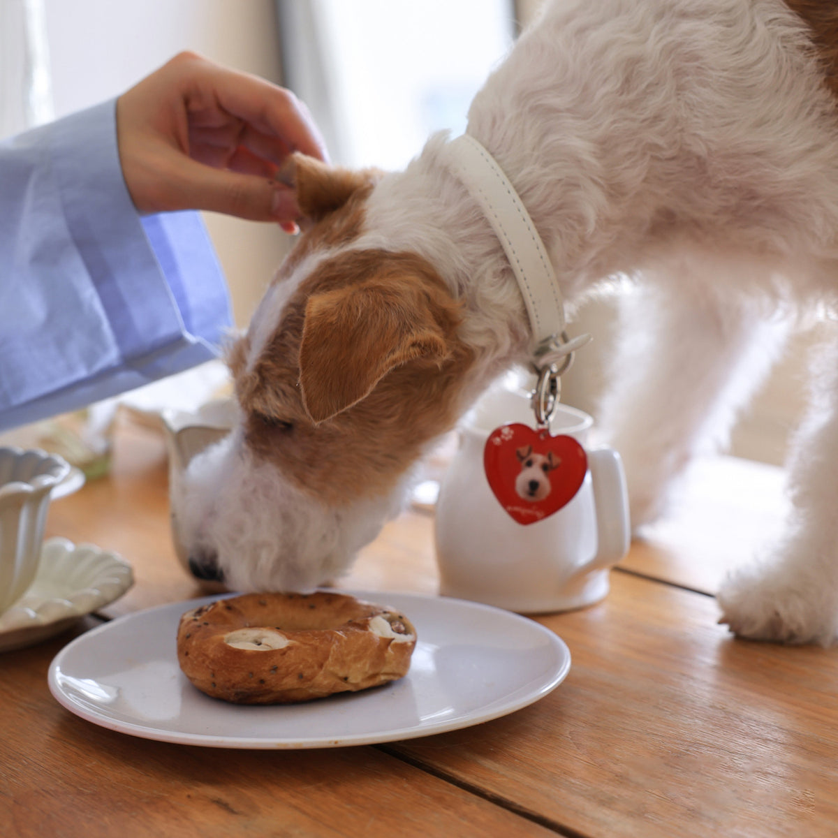 The ID Tag:Custom Dog & Cat Heart Charm