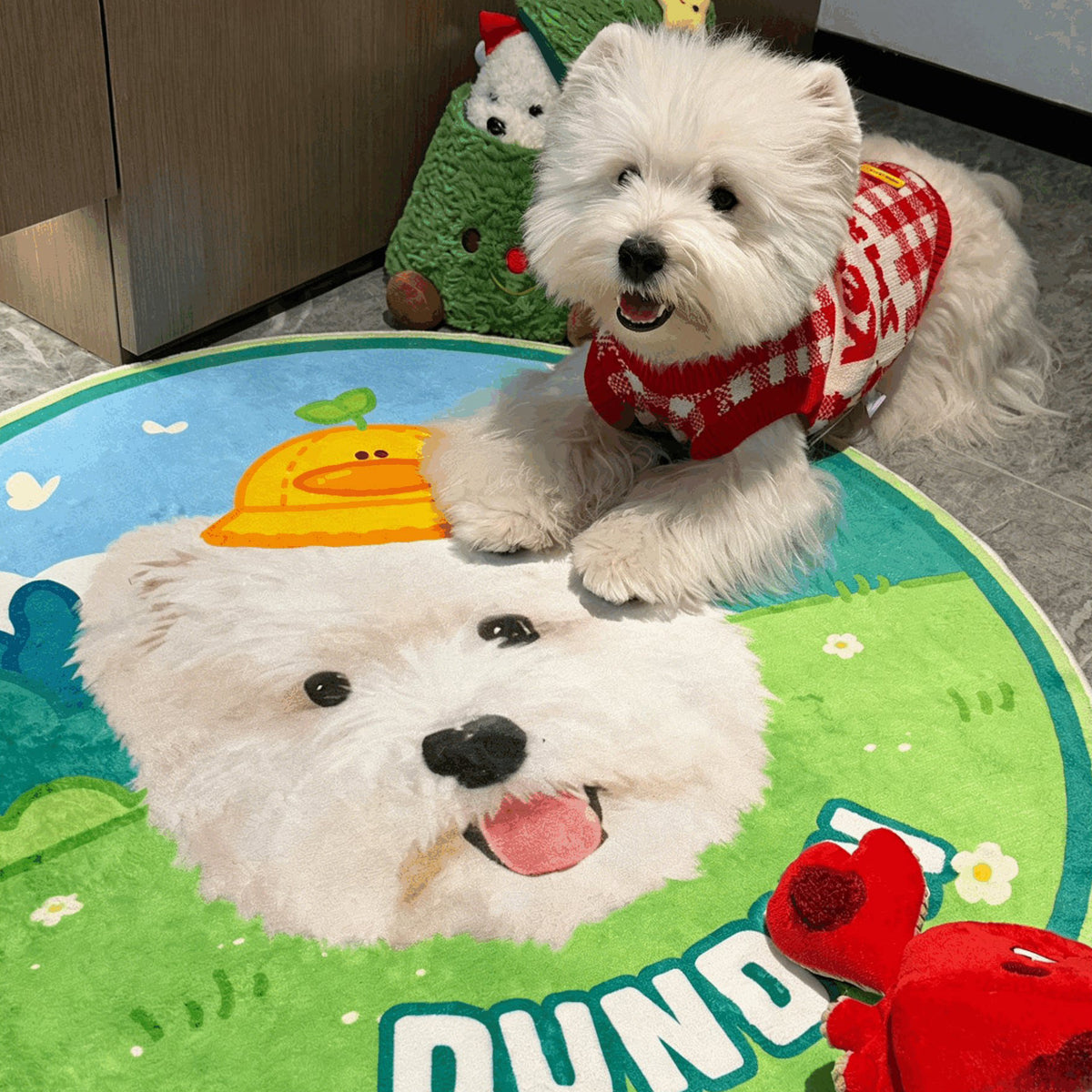 The Personalized Pet Rug Bed:Washable Custom Cozy Floor Mat