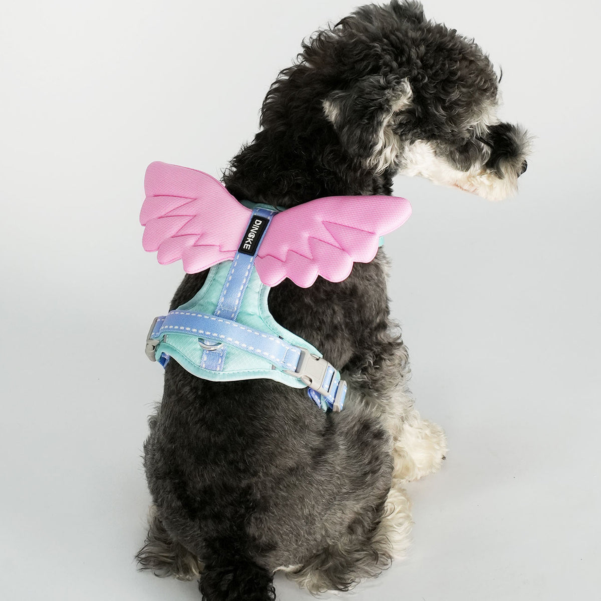 The Angel Wings – Winged Dog Harness & Leash For All Sizes.