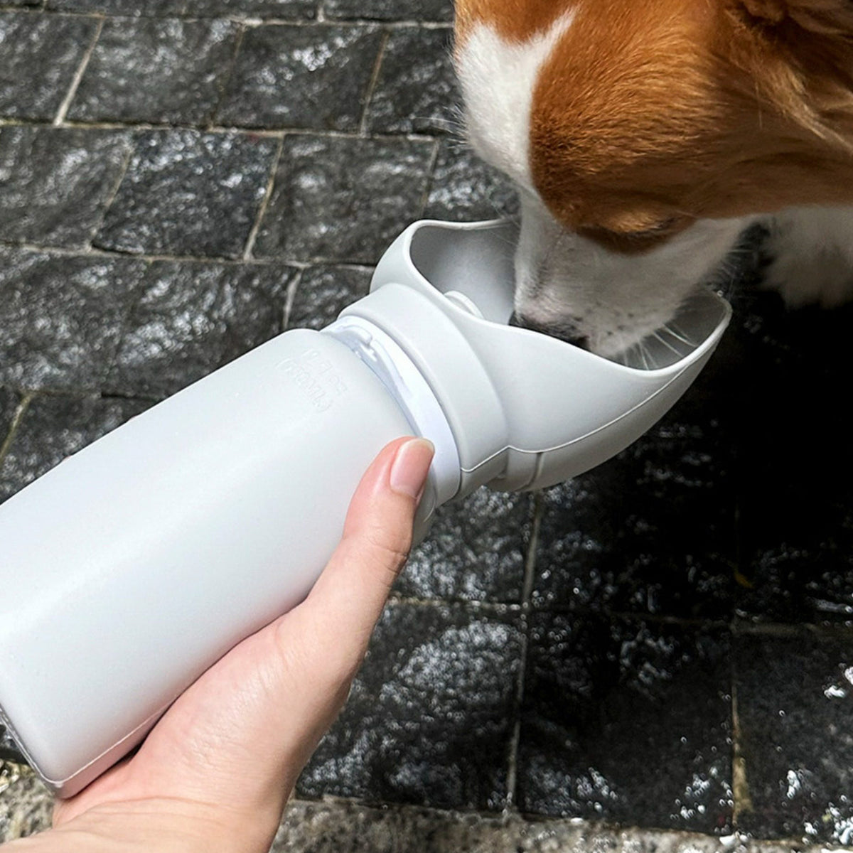 The Fold Flask – FDA Food-Grade Silicone Pet Water Bottle & Bowl.