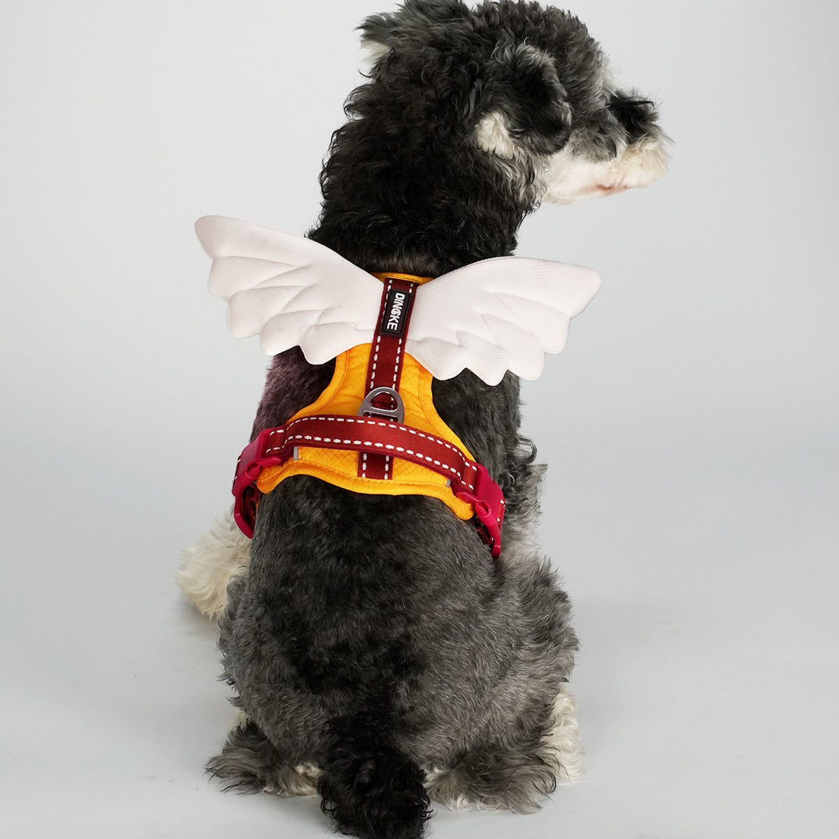 The Angel Wings – Winged Dog Harness & Leash For All Sizes.