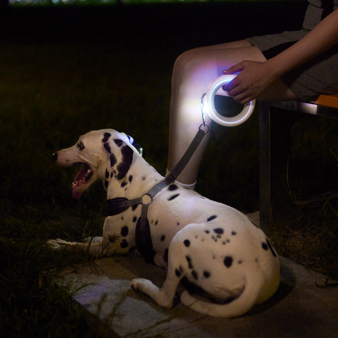 The UFO Leash – Retractable Anti-Pull Dog Leash For Small/Medium Dogs.