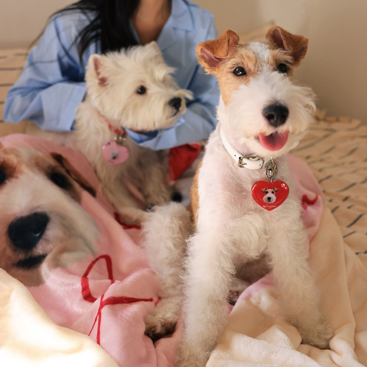 The ID Tag:Custom Dog & Cat Heart Charm