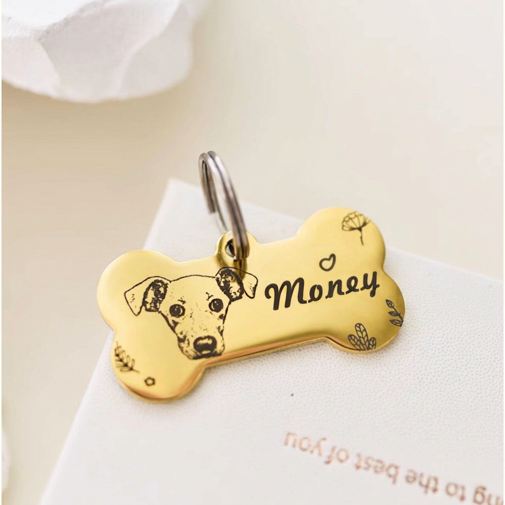 The Engraved Pet Collar ID Tag-Engraved Nameplate for Cats & Small Dogs
