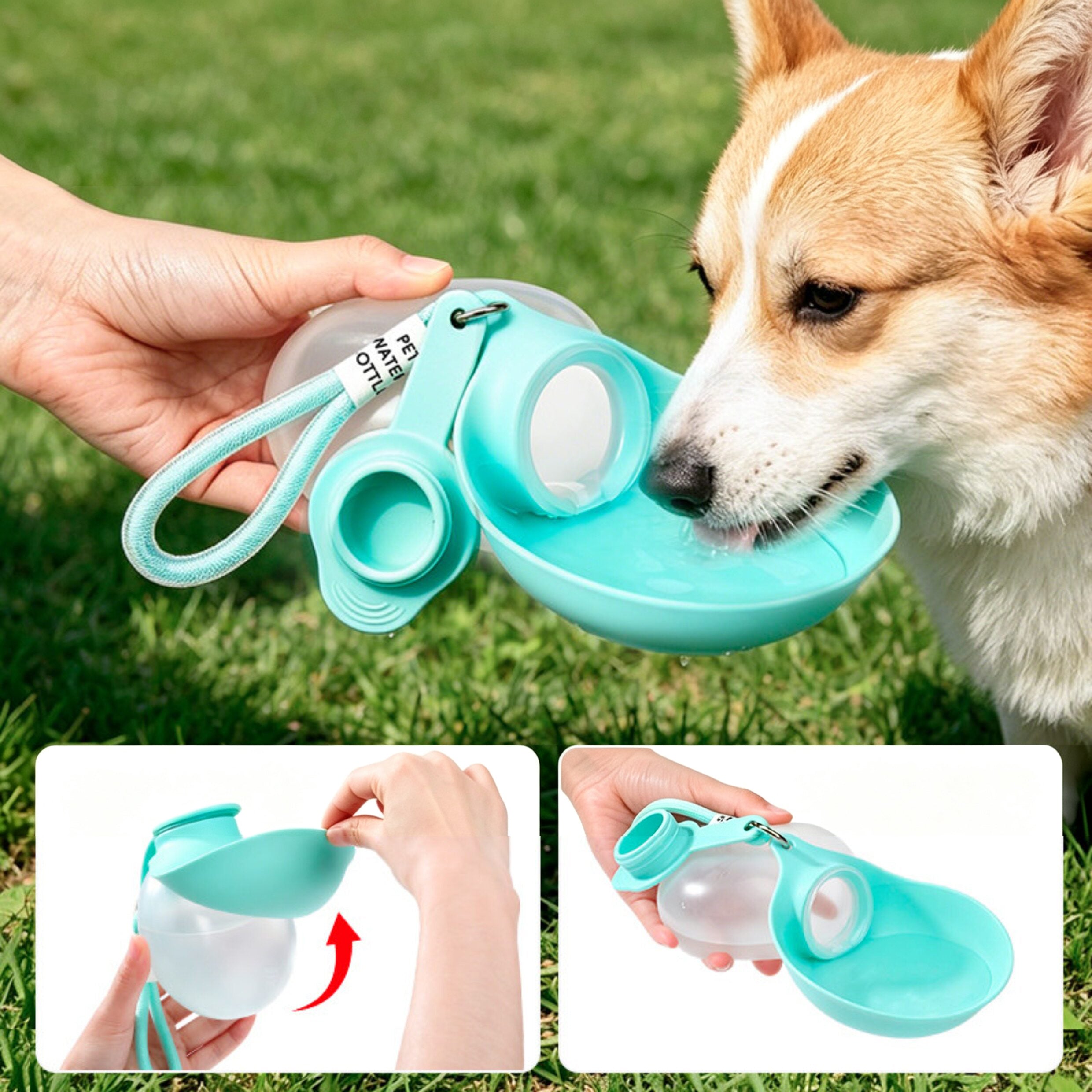 The Fold Flask – FDA Food-Grade Silicone Pet Water Bottle & Bowl.