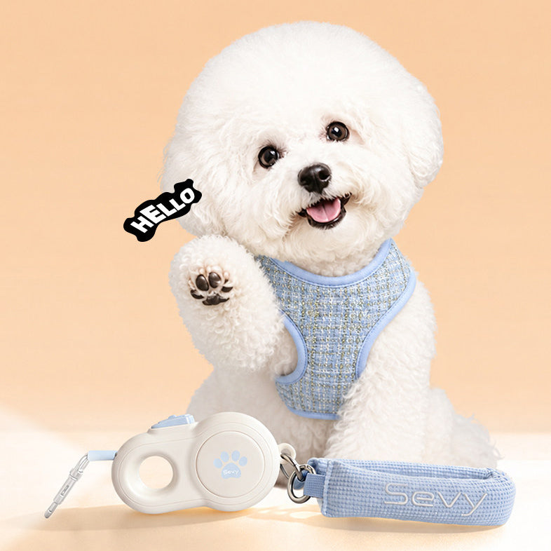 The Glow Leash – LED Retractable Anti-Pull Leash For Small/Medium Dogs.
