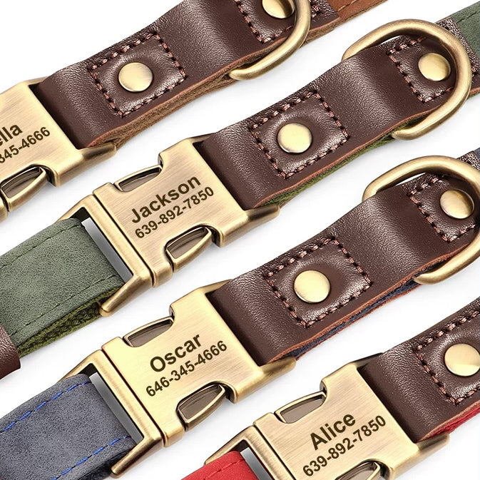 The Safe Keeper – Engraved Dog Collar with ID Tag