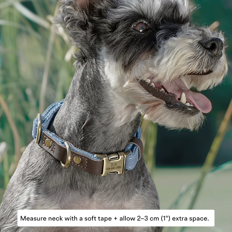The Safe Keeper – Engraved Dog Collar with ID Tag