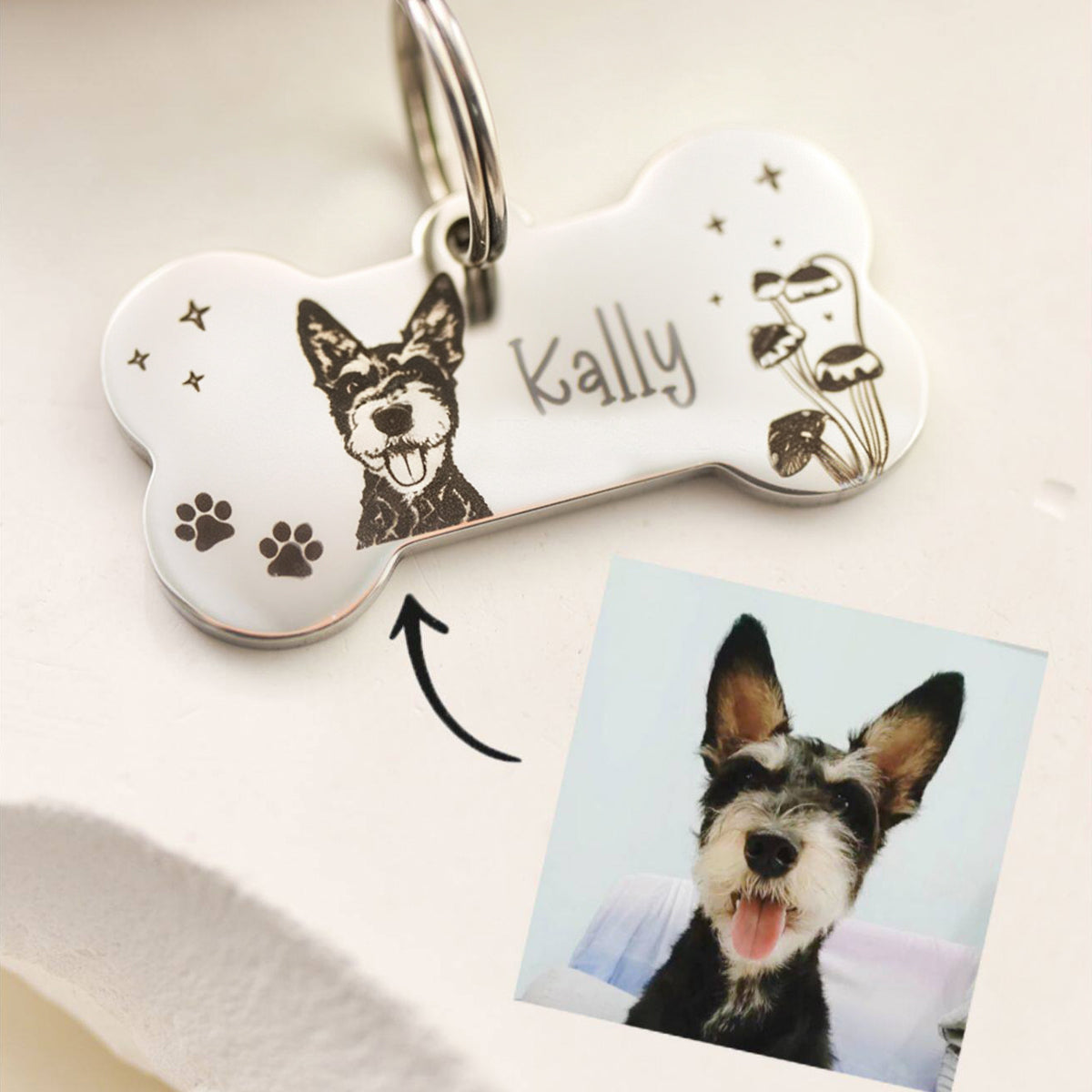 The Engraved Pet Collar ID Tag-Engraved Nameplate for Cats & Small Dogs