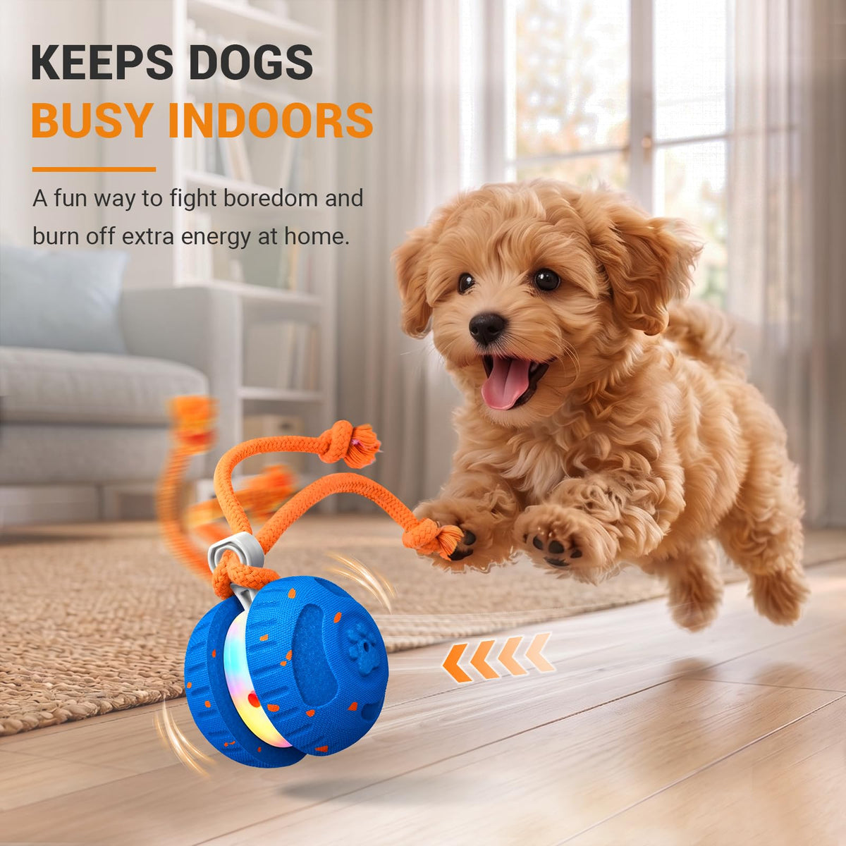 The Auto Roll – Self-Rolling Chew-Resistant Ball For Dogs.