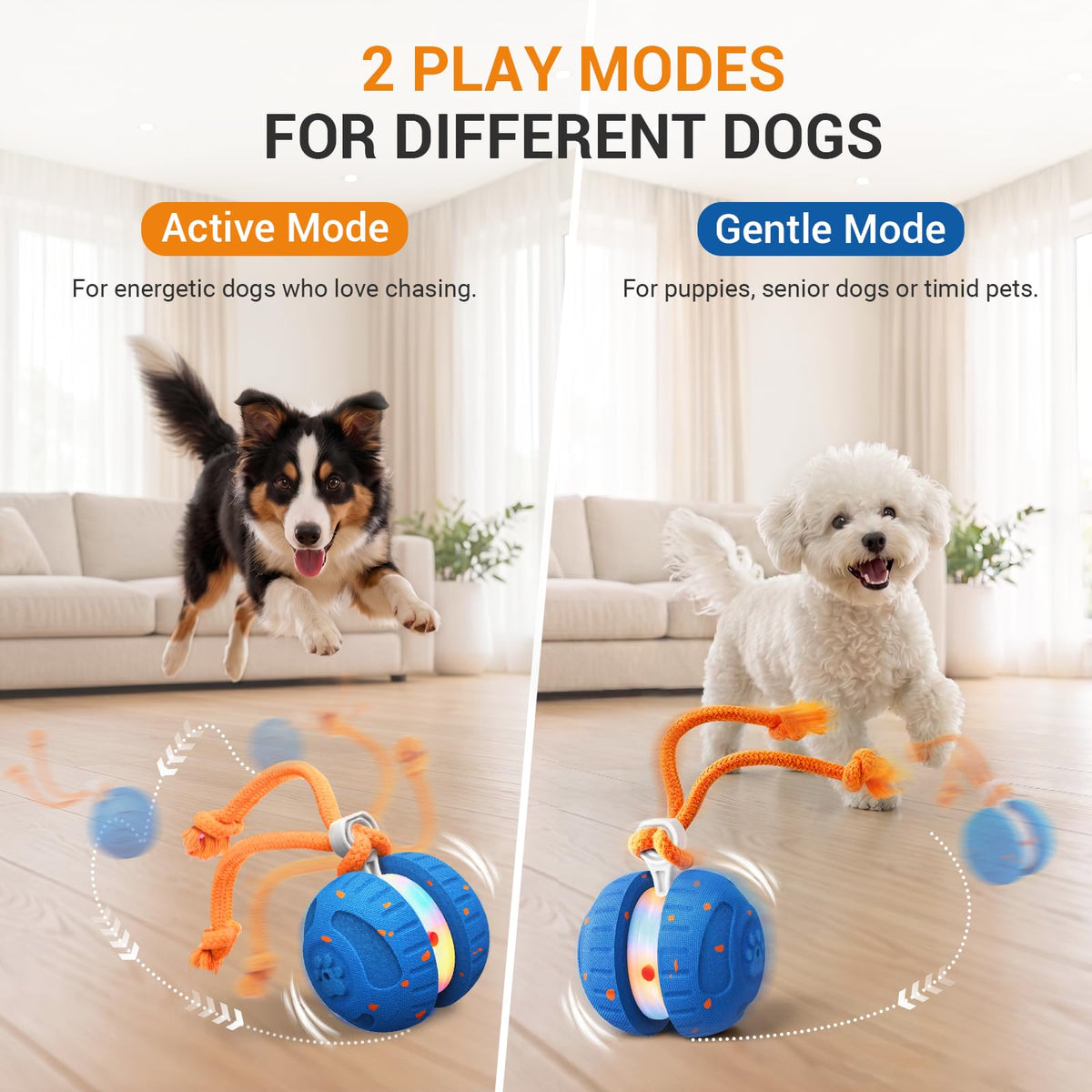 The Auto Roll – Self-Rolling Chew-Resistant Ball For Dogs.