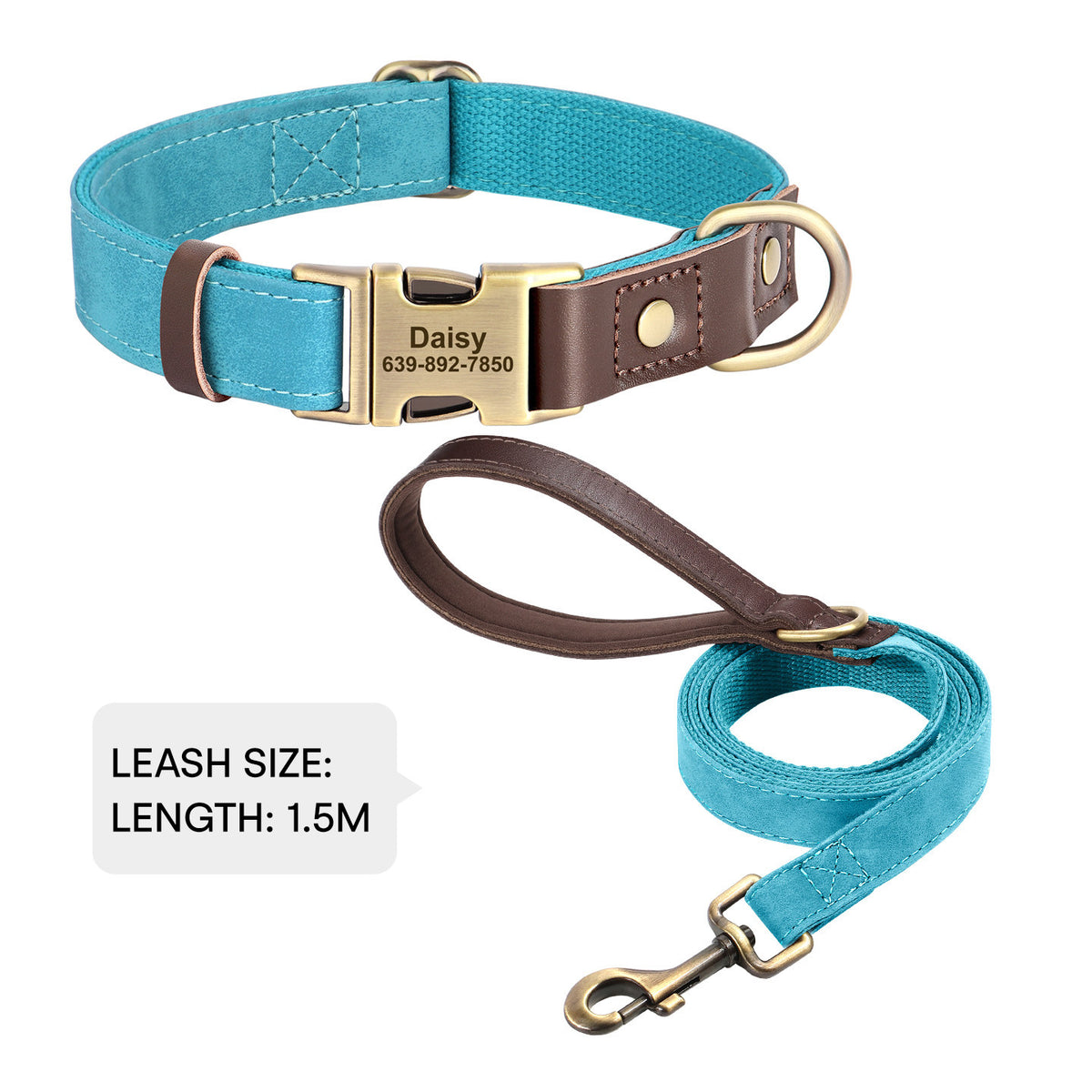 The Safe Keeper – Engraved Dog Collar with ID Tag