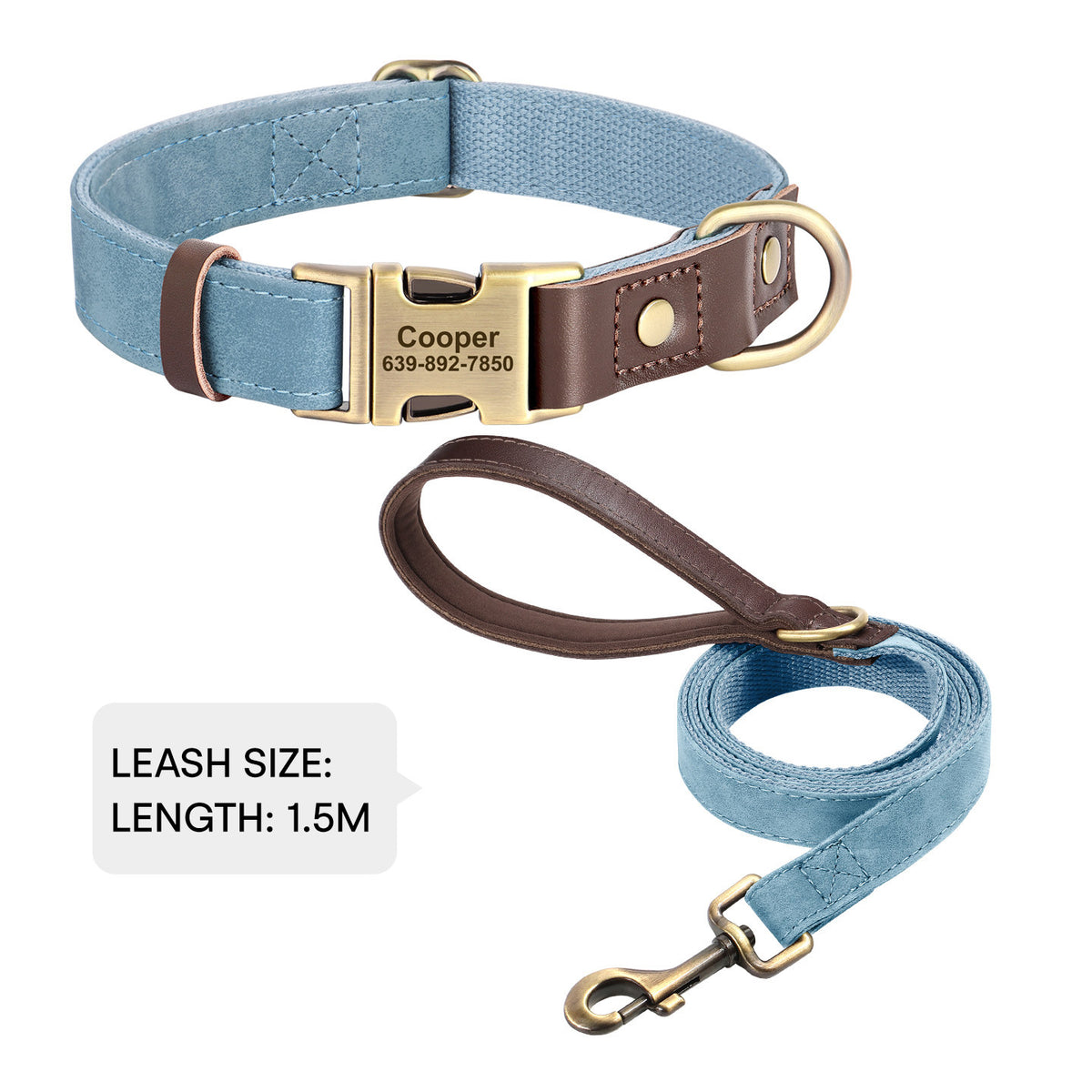 The Safe Keeper – Engraved Dog Collar with ID Tag