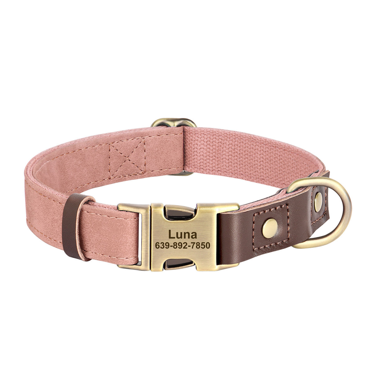 The Safe Keeper – Engraved Dog Collar with ID Tag