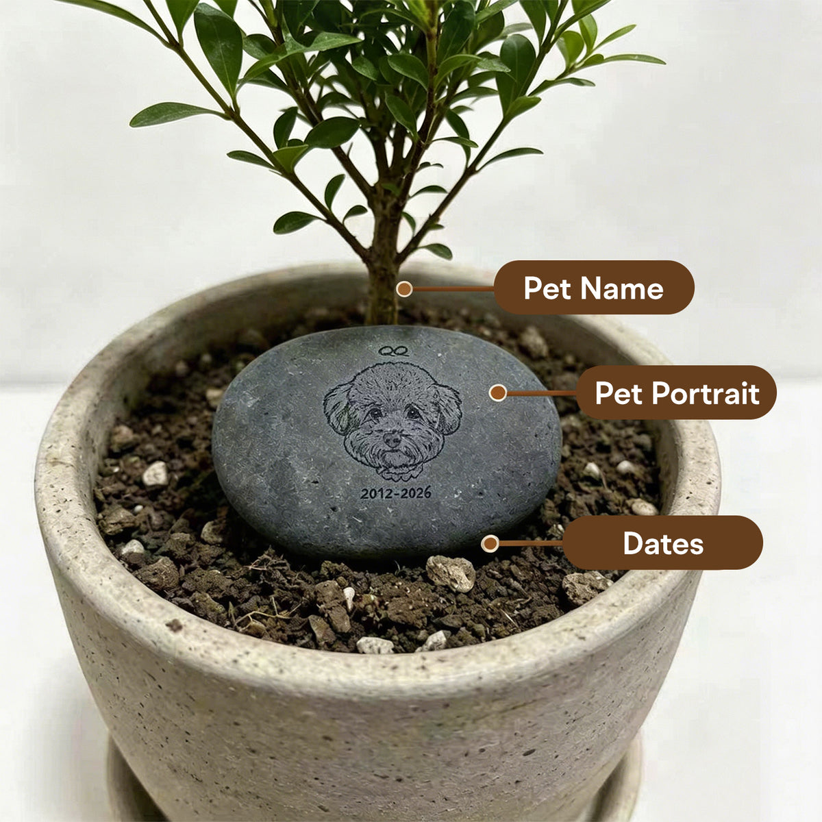 The Eternal Stone – Custom Pet Grave Marker