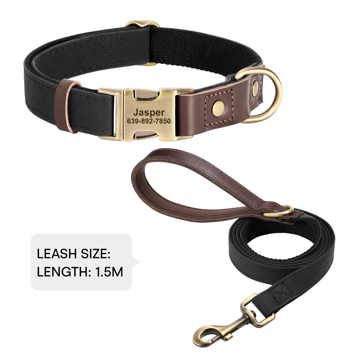 The Safe Keeper – Engraved Dog Collar with ID Tag