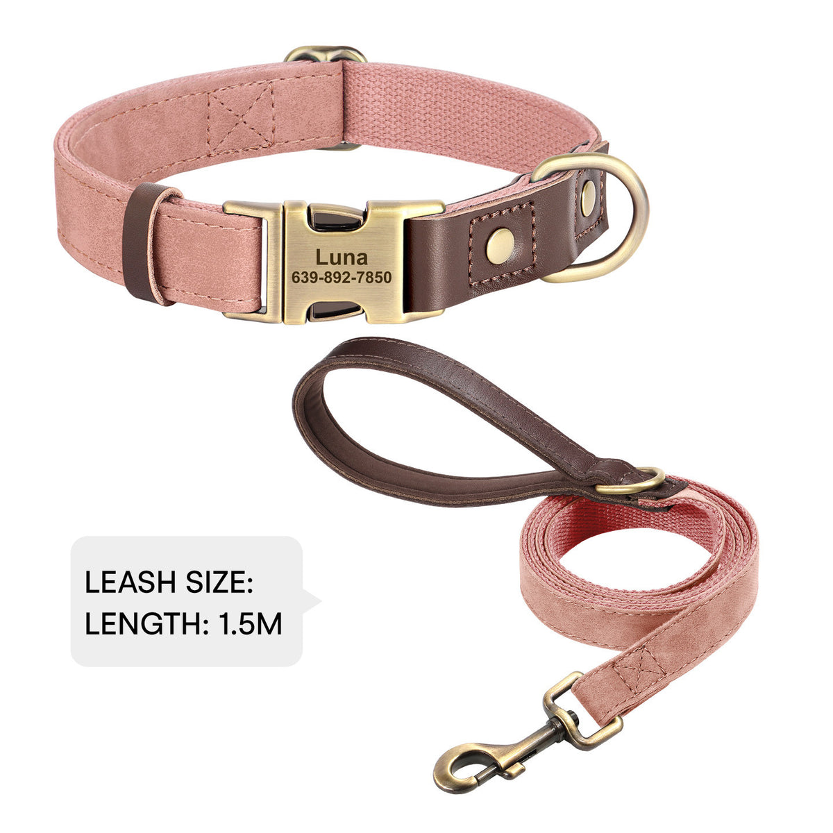 The Safe Keeper – Engraved Dog Collar with ID Tag