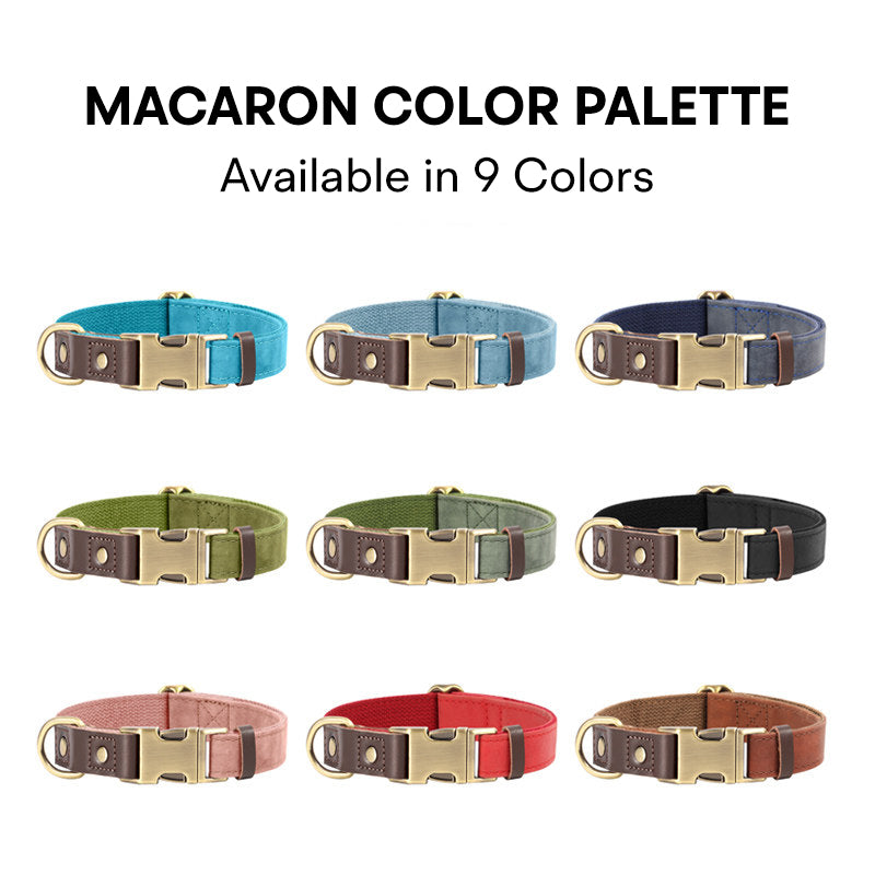 The Safe Keeper – Engraved Dog Collar with ID Tag