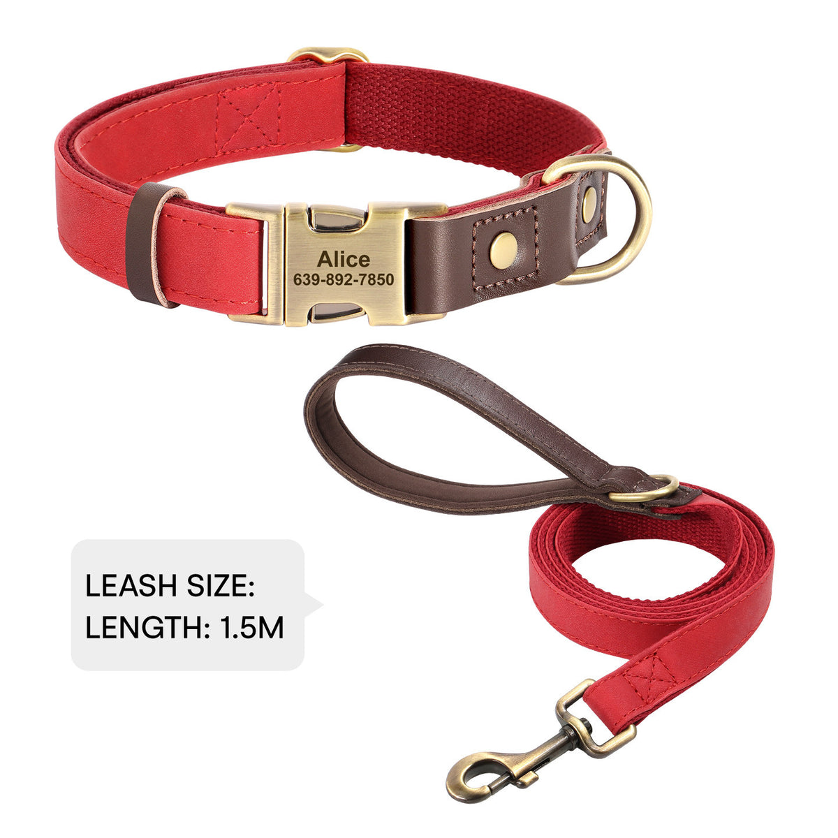 The Safe Keeper – Engraved Dog Collar with ID Tag