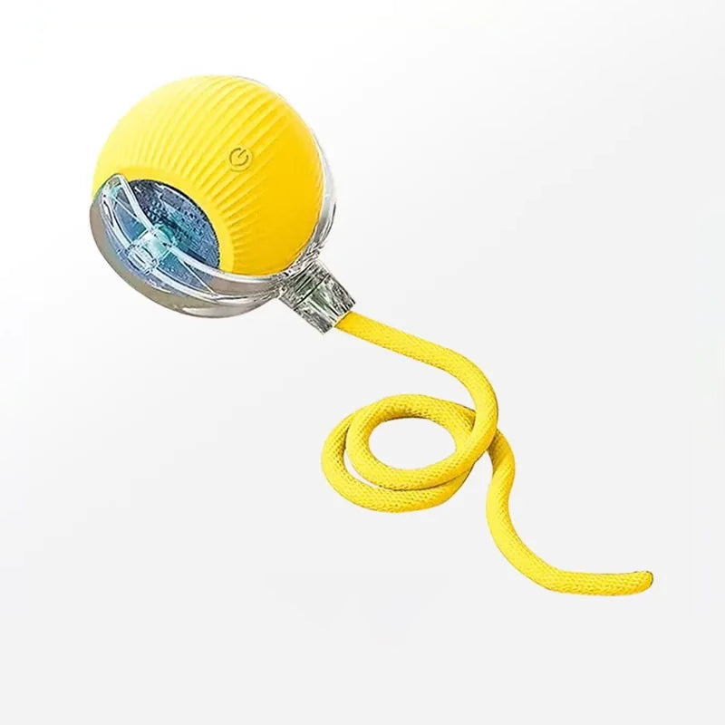 The Auto Fetch – Smart Electric Jump Ball With Rope For Dogs.