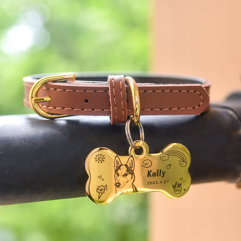 The Engraved Pet Collar ID Tag-Engraved Nameplate for Cats & Small Dogs