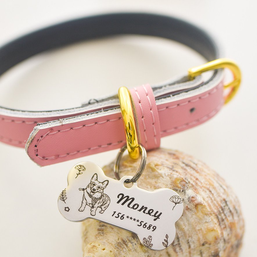 The Engraved Pet Collar ID Tag-Engraved Nameplate for Cats & Small Dogs